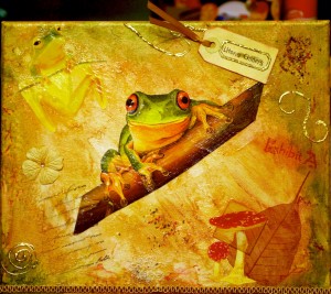 Nature Study: Litoria Chloris