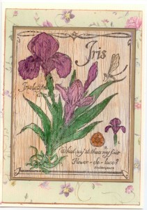 vintage iris